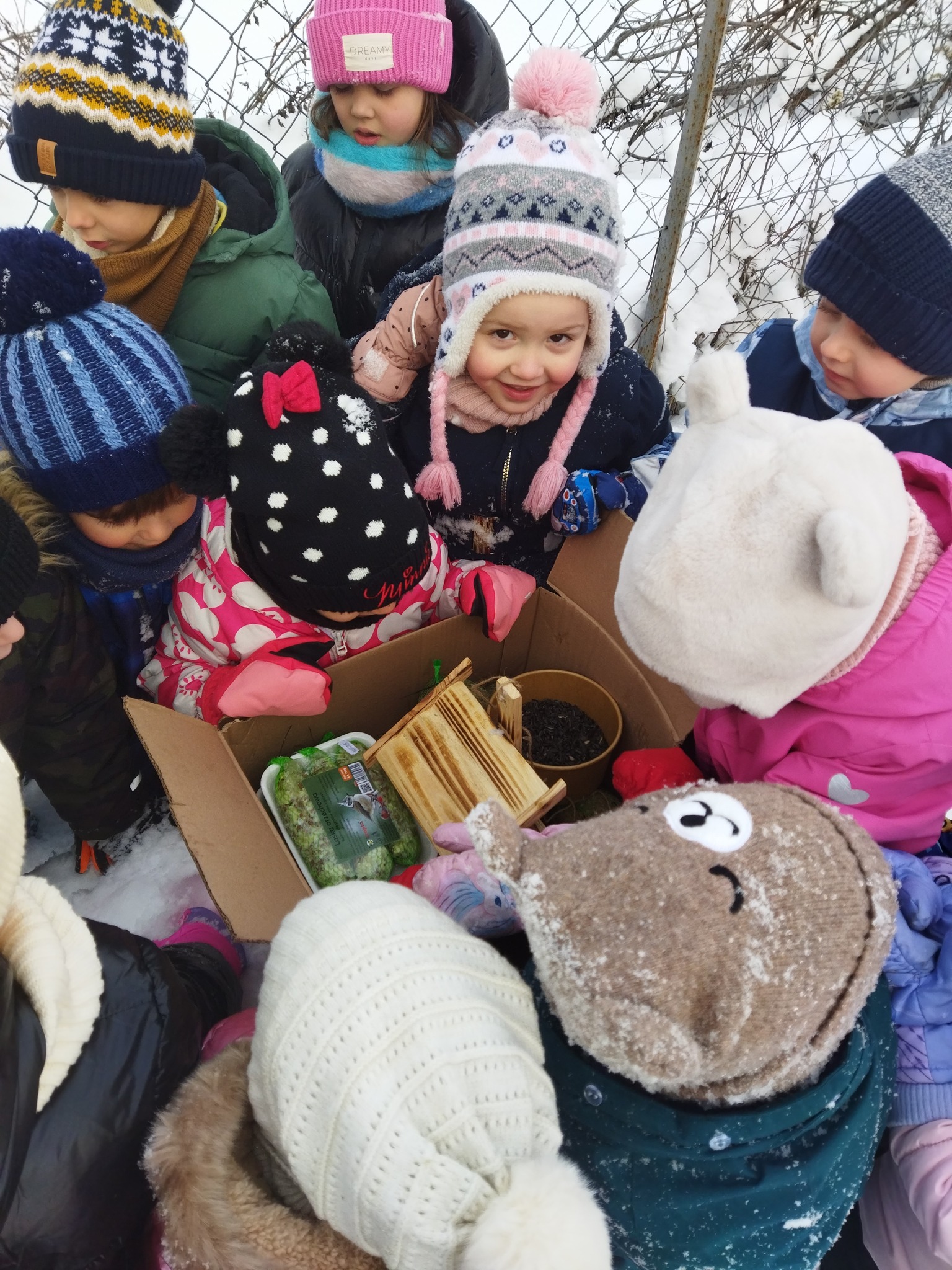 Dokarmianie ptaków zimą