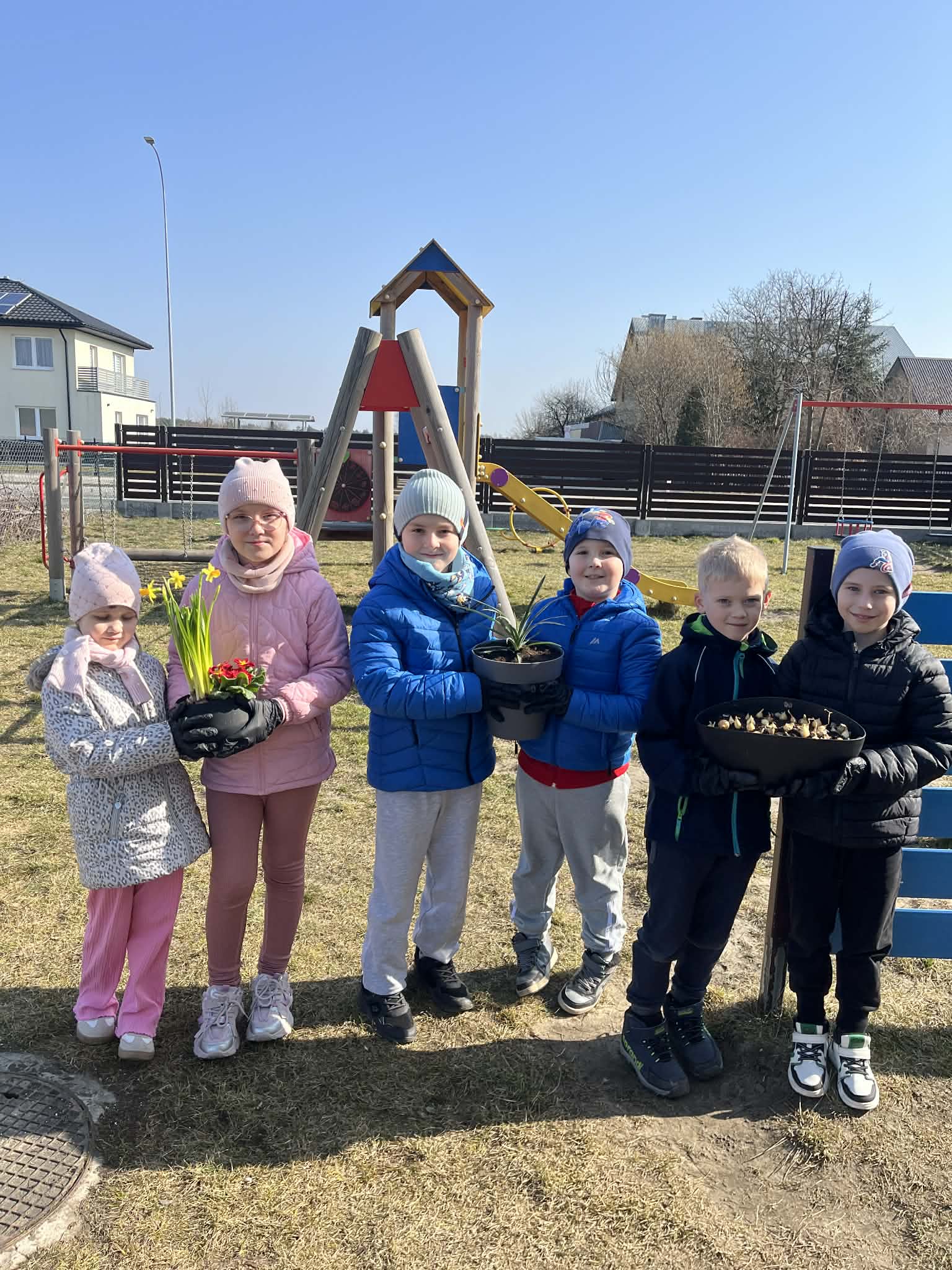 Wiosna na parapecie – klasowy ogródek pierwszaków